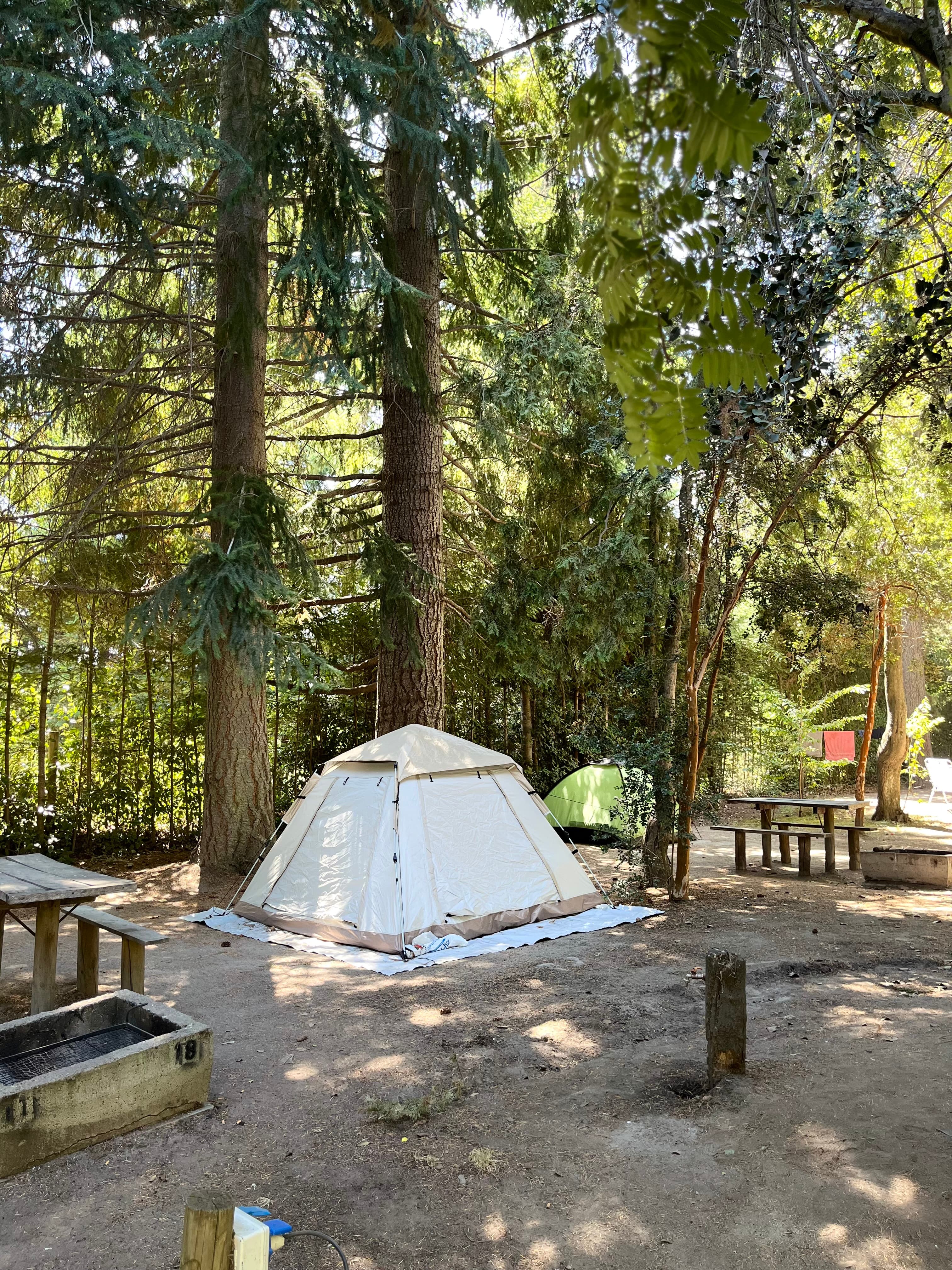 Atardecer en el camping