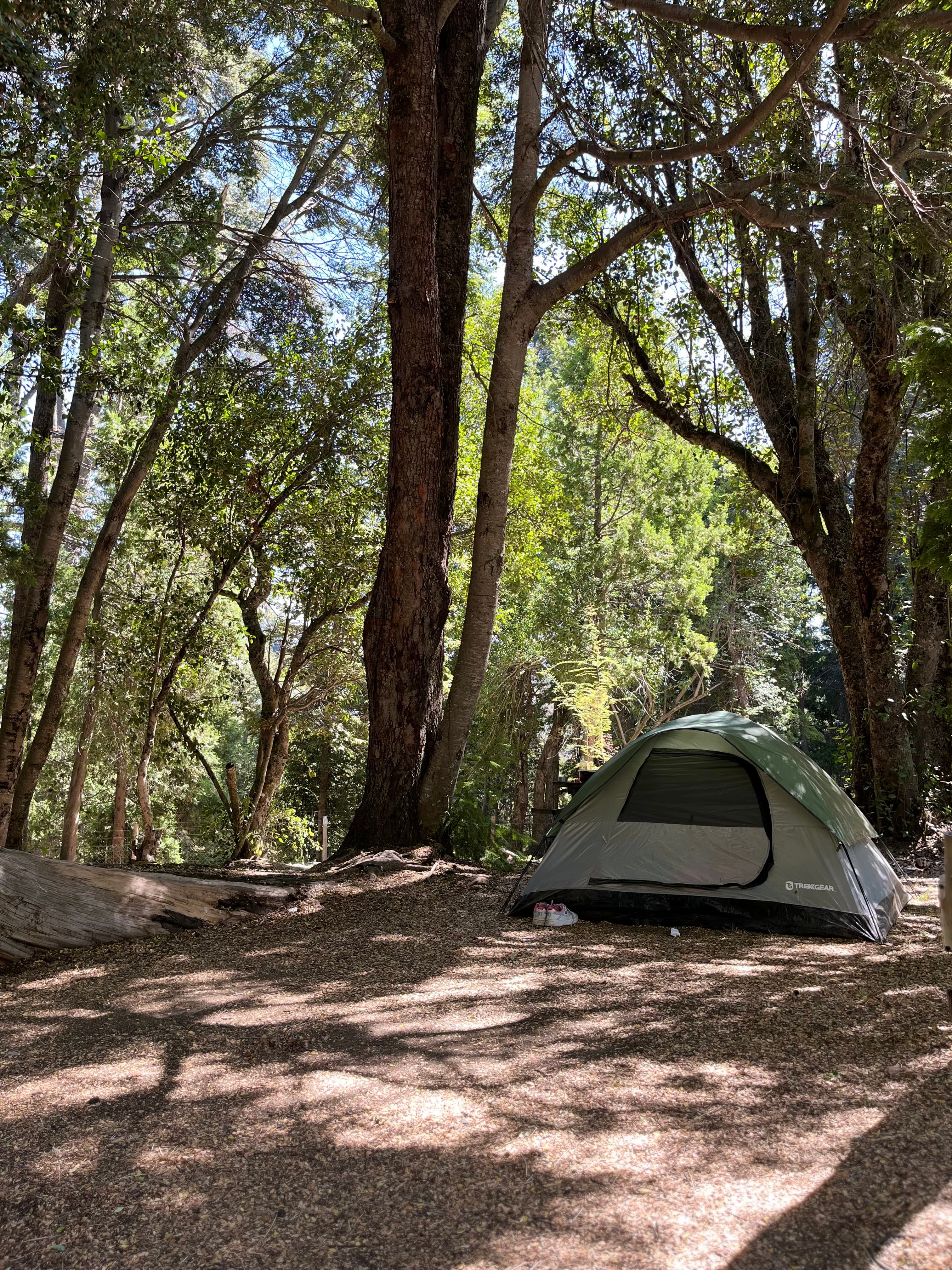 Parcelas del camping