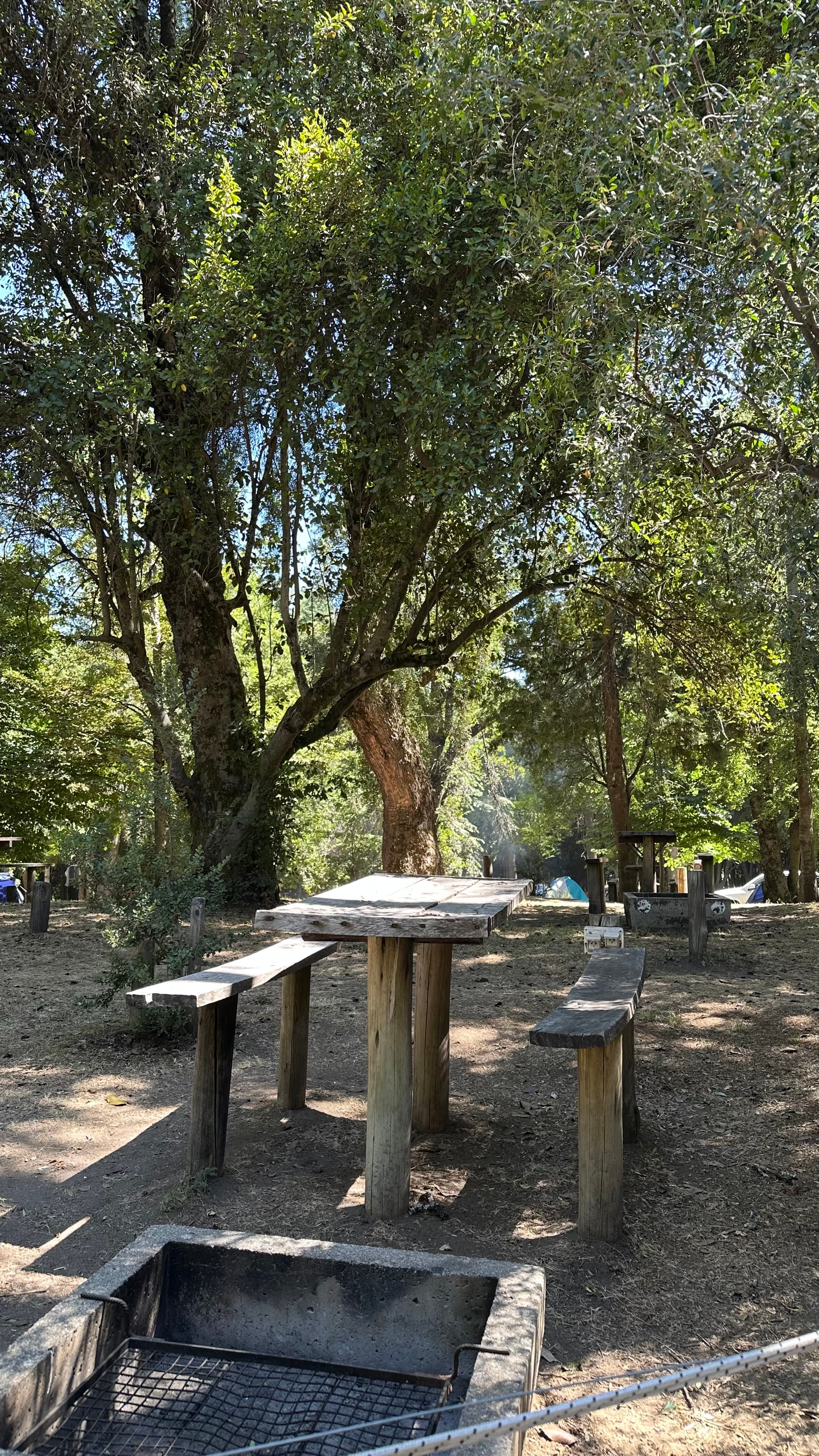 Área de parrilla y mesa