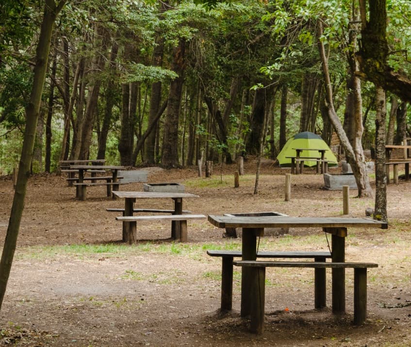 Ambiente del camping