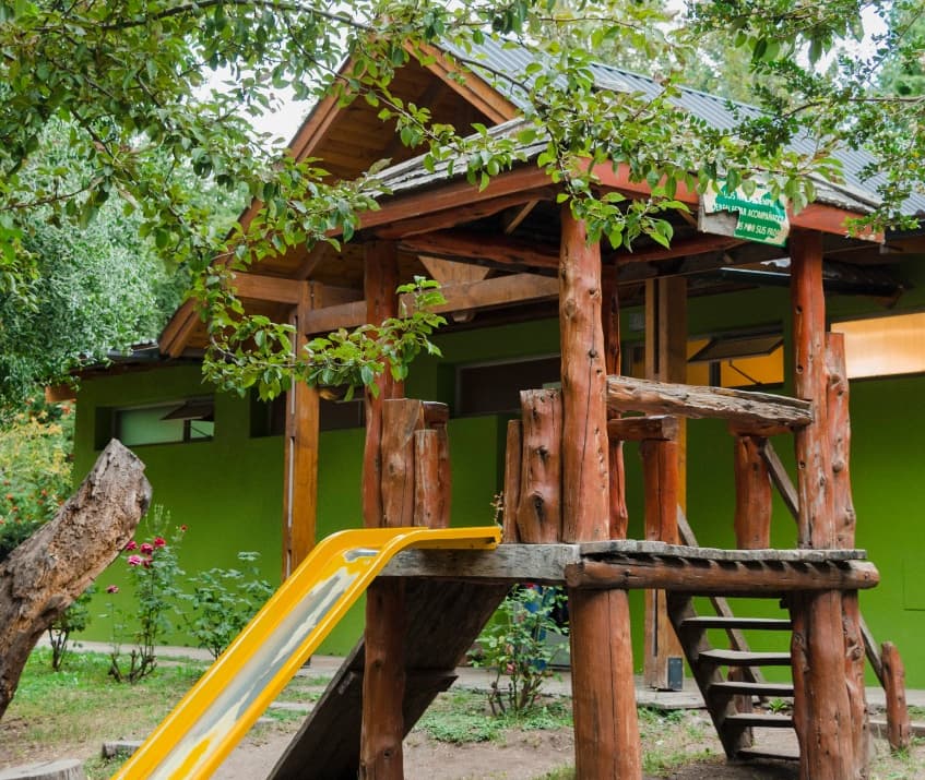 Naturaleza patagónica